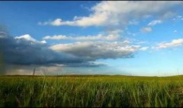 草原风景视频,碧波荡漾的绿色画卷