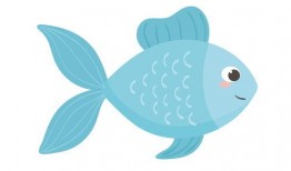 动漫 鱼,探寻鱼之世界的奇幻旅程