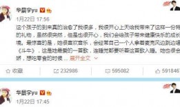 娱乐圈的那个吃瓜文件,真相与谣言的交织