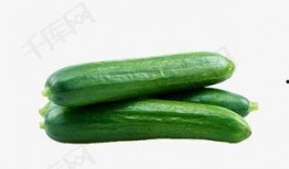 吃瓜大全爆料日常生活,日常生活里的趣味爆料